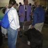 /images/events/10/2008 Raleigh Dog Show 009-thumb.jpg